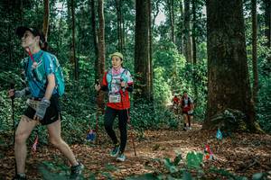 BIB: 
                            <button type="button" onclick="openModal(26135461)" class="btn btn-primary btn-sm float-right btn-popup" data-toggle="modal" data-target=".modal-high-quality">
                        <i class="fas fa-shopping-cart"></i> Add to Cart
                    </button>
                                            <button type="button" onclick="isThisMe(26135461, true)" class="btn btn-success btn-sm float-right btn-popup btn-isme hidden" data-toggle="tooltip" data-placement="bottom" title="นี่คือรูปของคุณใช่ไหม คลิกที่นี่เพื่อเอาเข้าอัลบั้ม">
                        <i class="fas fa-plus"></i> Add to album
                    </button>
                    <button type="button" onclick="isThisMe(26135461, false)" class="btn btn-warning btn-sm float-right btn-popup btn-isnotme hidden">
                        <i class="fas fa-ban"></i> Remove from album
                    </button>